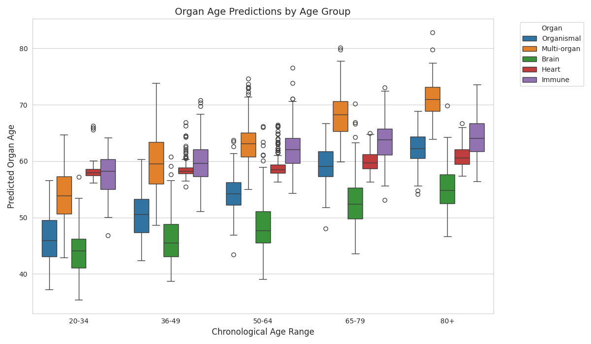 Organ Age Predictions by Age Group